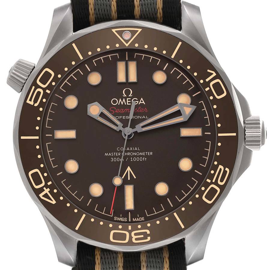 The Omega Seamaster watch is shown from the front, displaying its dial, bezel, and strap.