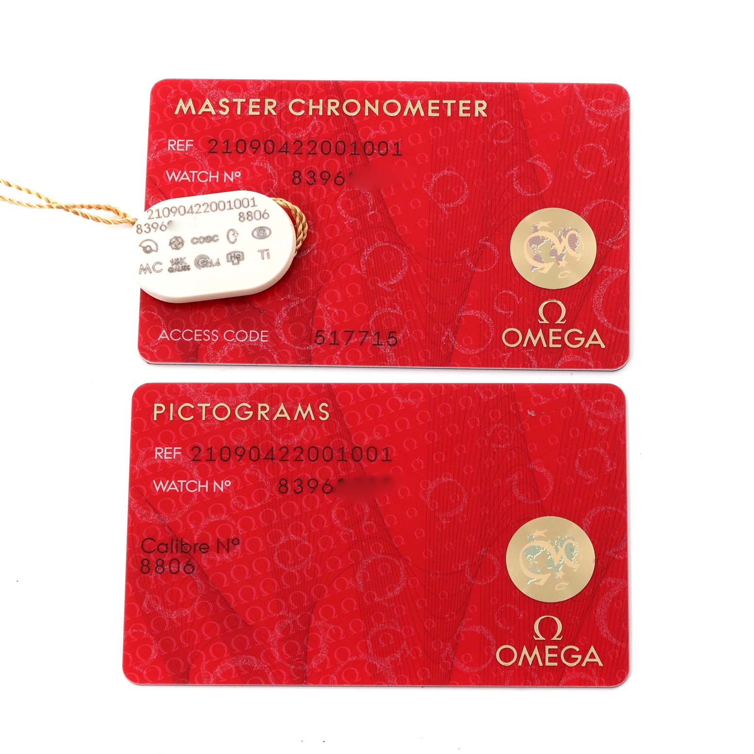 The image shows the Master Chronometer and Pictograms cards for the Omega Seamaster 210.90.42.20.01.001 Men's Titanium Brown Dial 210.90.42.20.01.001 Men's Titanium Brown Dial model, along with a tag.