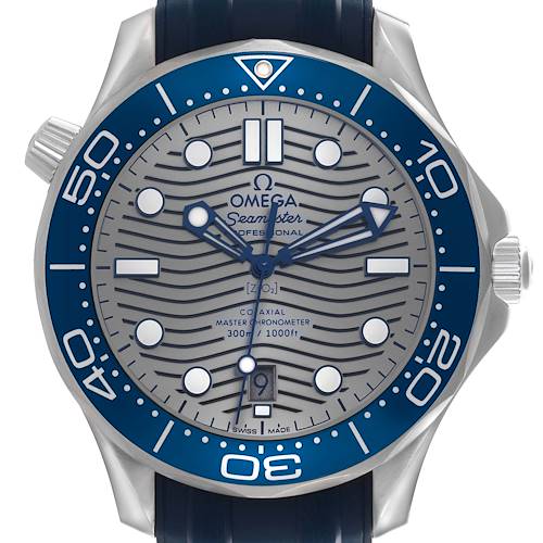 The Omega Seamaster watch is shown from a front angle, displaying the face, bezel, crown, and part of the strap.