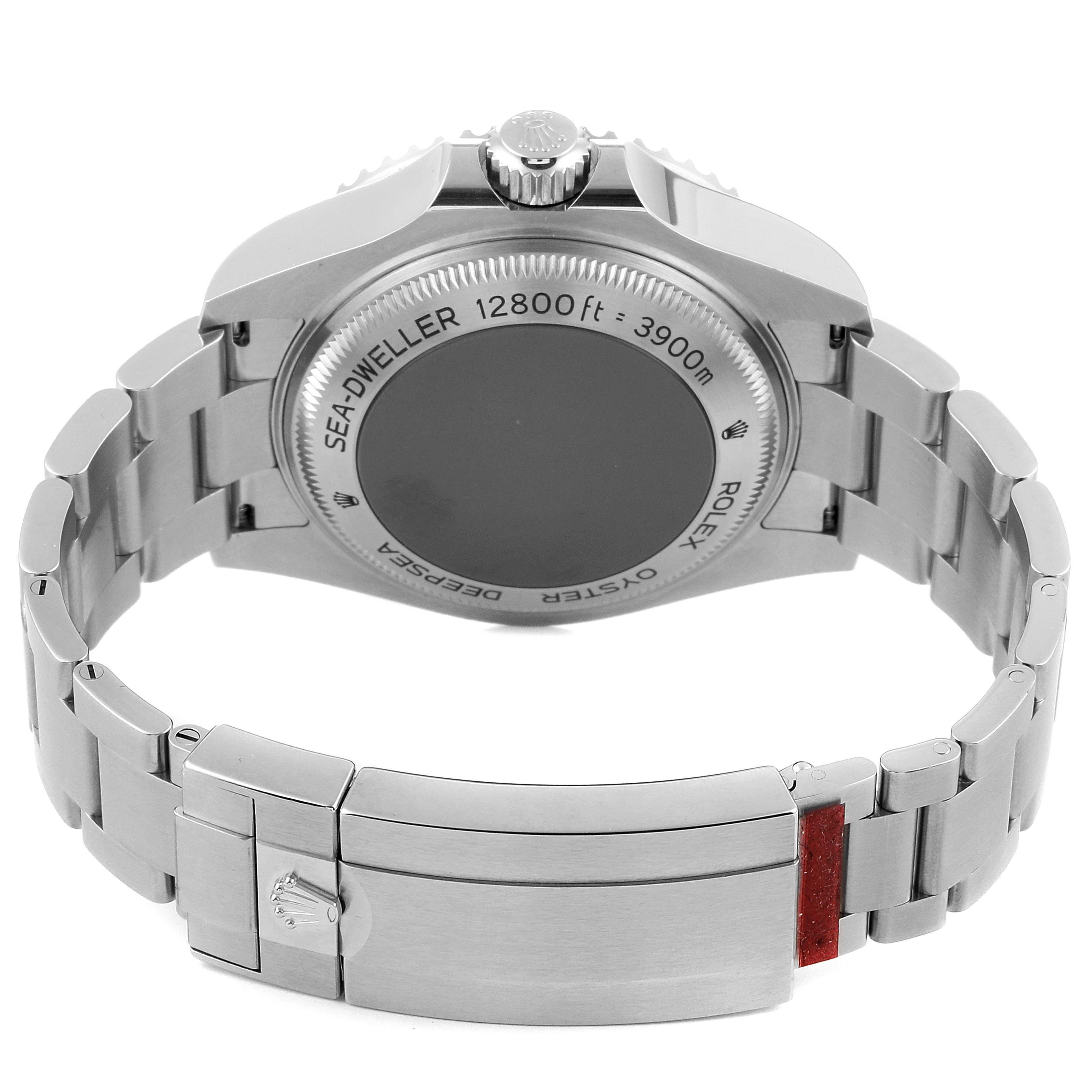 This image shows the back case and bracelet of a Rolex Sea-Dweller 126660 Men's Stainless Steel Blue Dial 126660 Men's Stainless Steel Blue Dial watch from a rear angle.