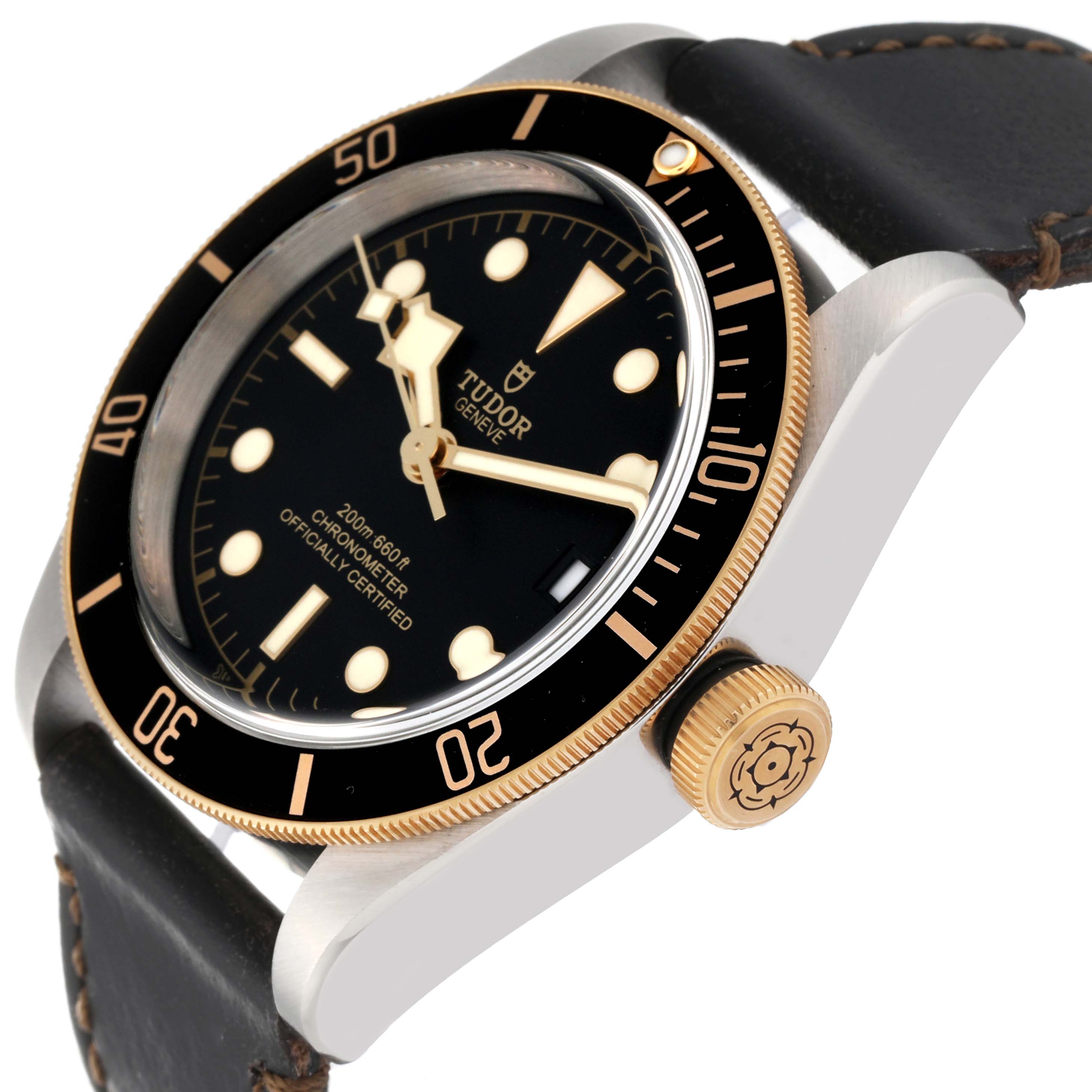 The image shows a side view of the Tudor Heritage Black Bay 79733N Men
s Steel and Gold (two tone) Black Dial 79733N Men
s Steel and Gold (two tone) Black Dial watch, highlighting the bezel, crown, and part of the strap.
