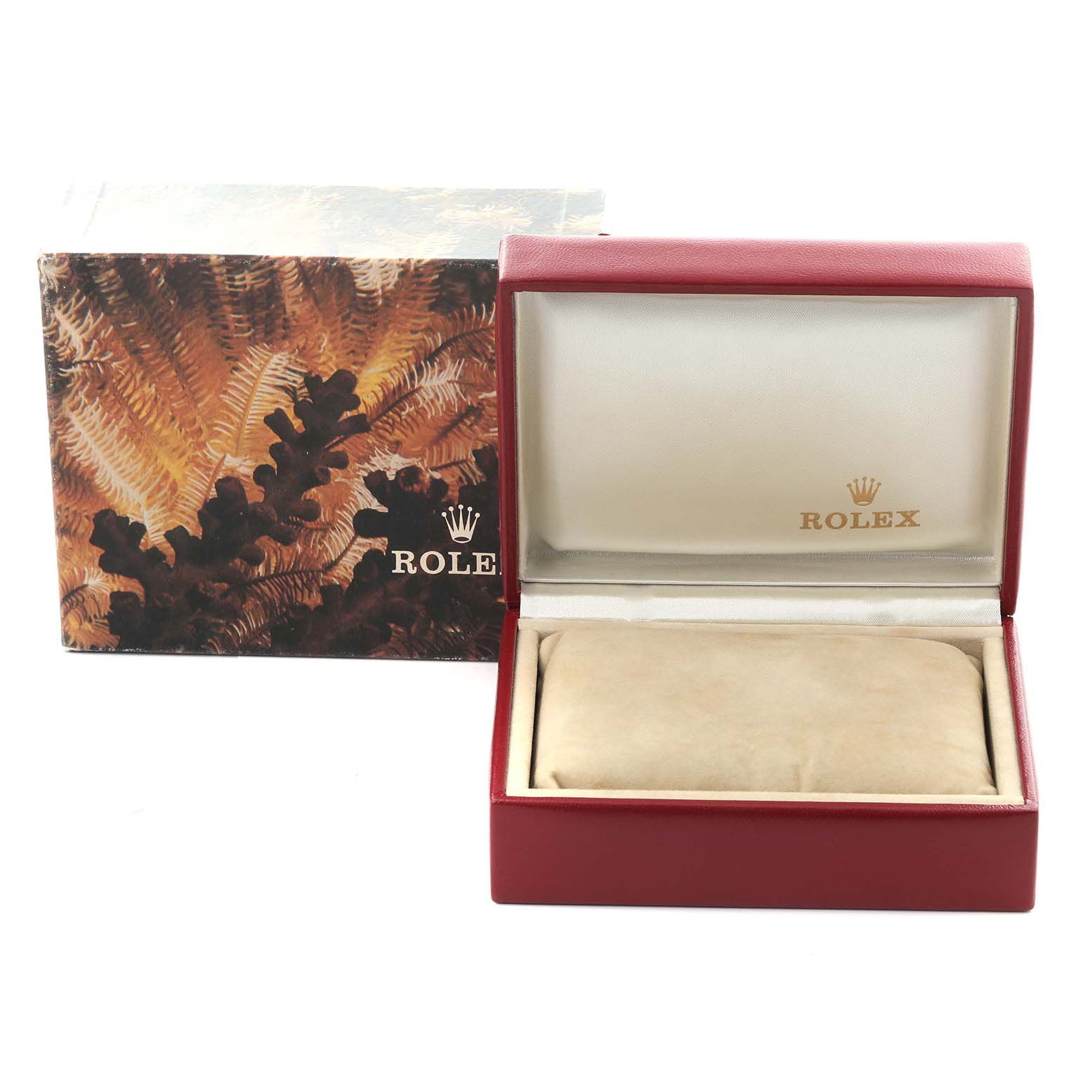 The image shows a Rolex Datejust 69173 Women's Steel and Gold (two tone) Champagne Dial 69173 Women's Steel and Gold (two tone) Champagne Dial watch box and outer packaging with a fern design, viewed from the front.