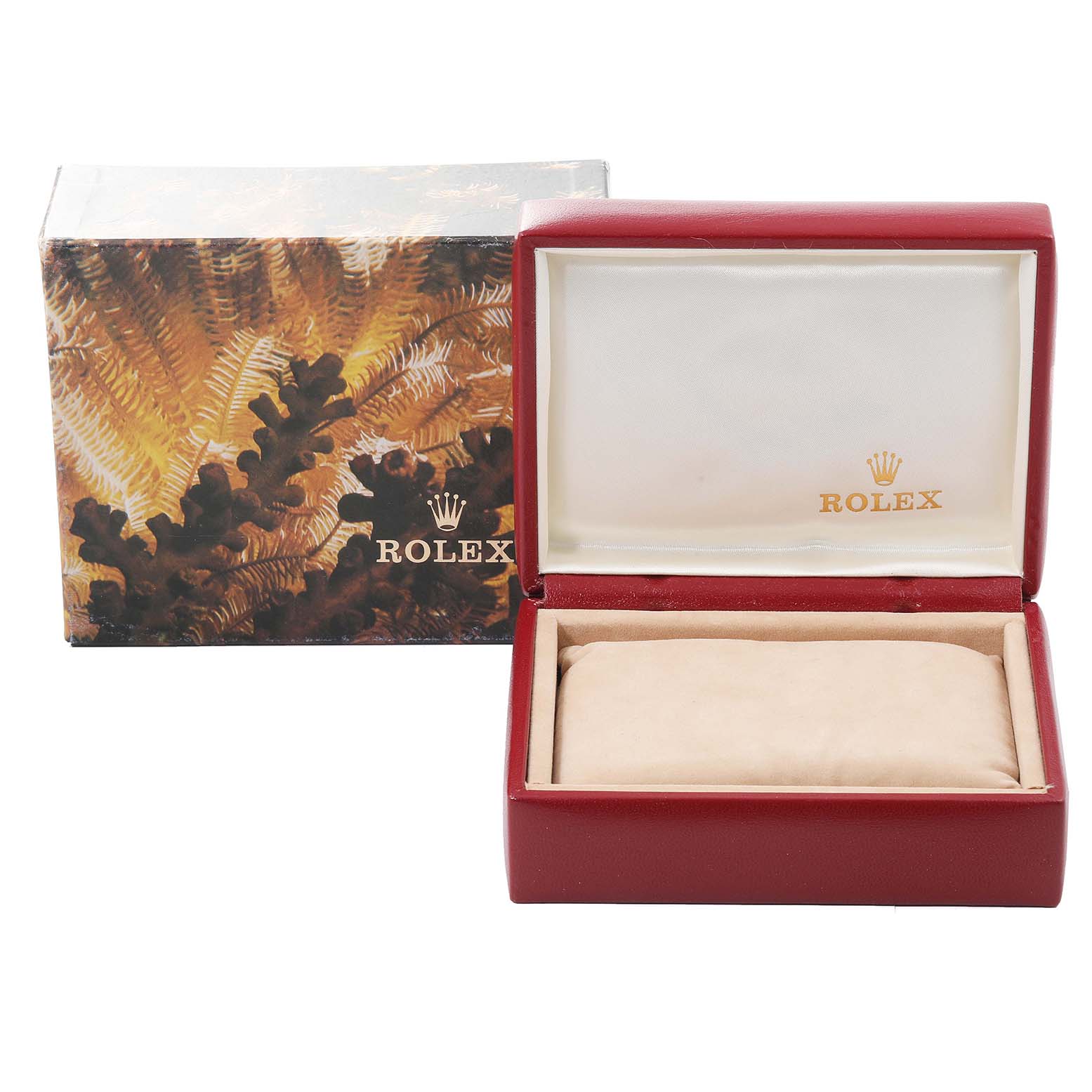 The image shows an open Rolex Datejust 69173 Women's Steel and Gold (two tone) Champagne Dial 69173 Women's Steel and Gold (two tone) Champagne Dial box showcasing the cushioned interior and the Rolex logo.