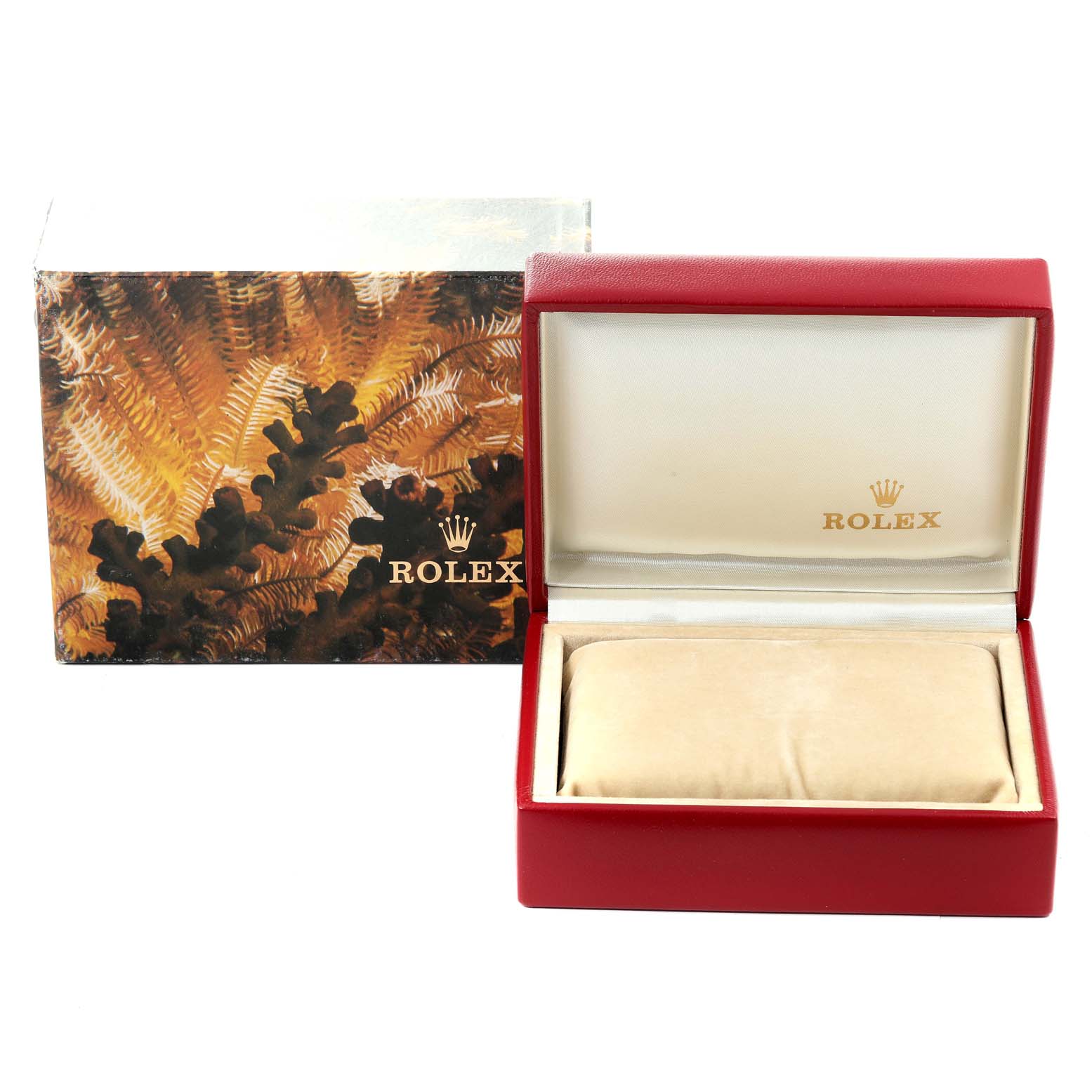 This image shows a Rolex Datejust 69173 Women's Steel and Gold (two tone) Champagne Dial 69173 Women's Steel and Gold (two tone) Champagne Dial box and cushion, with the box lid open and the outer packaging beside it.