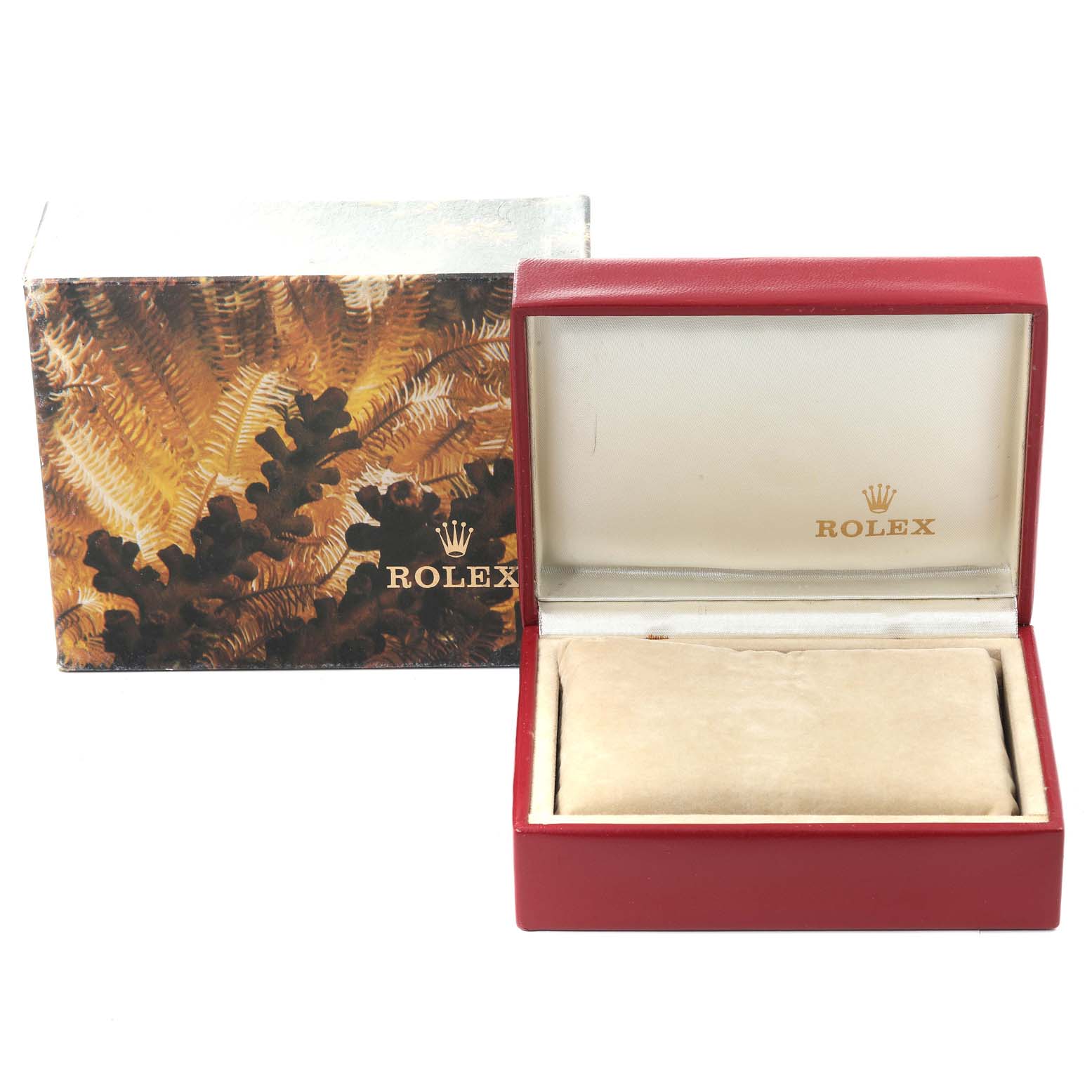 The image shows an open red Rolex Datejust 69173 Women's Steel and Gold (two tone) White Dial 69173 Women's Steel and Gold (two tone) White Dial watch box with an outer box featuring a nature-themed design.