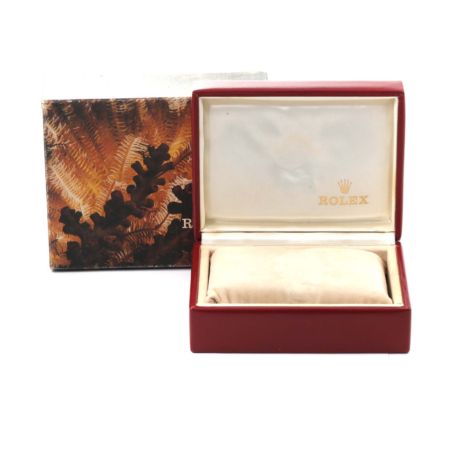 The image shows the box for a Rolex Oyster Perpetual 67193 Women
s Steel and Gold (two tone) Champagne Dial 67193 Women
s Steel and Gold (two tone) Champagne Dial watch, with the box open revealing the watch pillow inside.