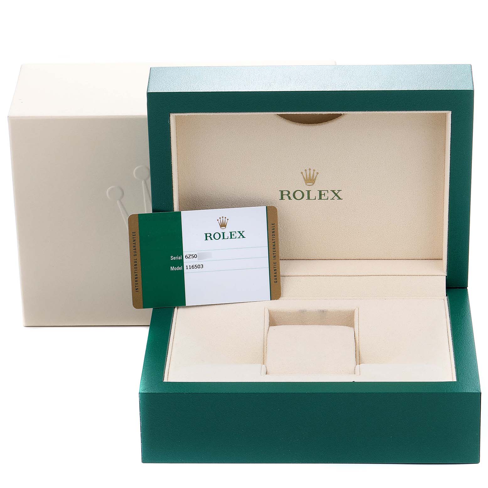 The image shows a Rolex Daytona 116503 Men's Steel and Gold (two tone) Champagne Dial 116503 Men's Steel and Gold (two tone) Champagne Dial watch box and warranty card from a front angle.