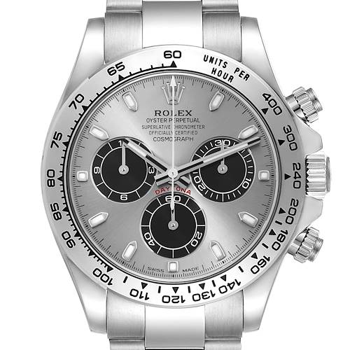 The image shows a front view of a Rolex Daytona 116509 Men's White Gold Grey Dial, highlighting the dial, subdials, bezel, and part of the bracelet.