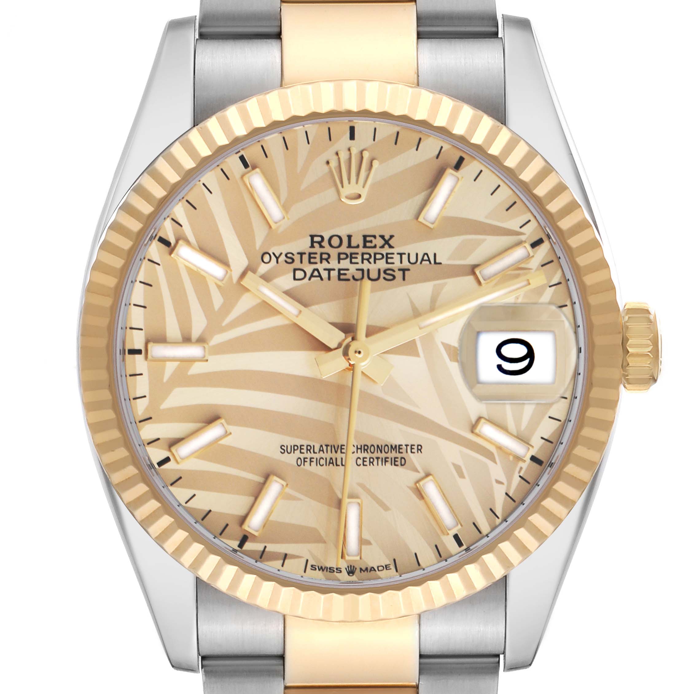 The Rolex Datejust 126233 Men's Steel and Gold (two tone) Champagne Dial watch is shown from a top view, highlighting the dial, hour markers, bezel, crown, and part of the bracelet.