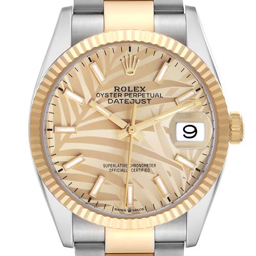 The Rolex Datejust 126233 Men's Steel and Gold (two tone) Champagne Dial watch is shown in a front view, highlighting its dial, bezel, and part of the bracelet.