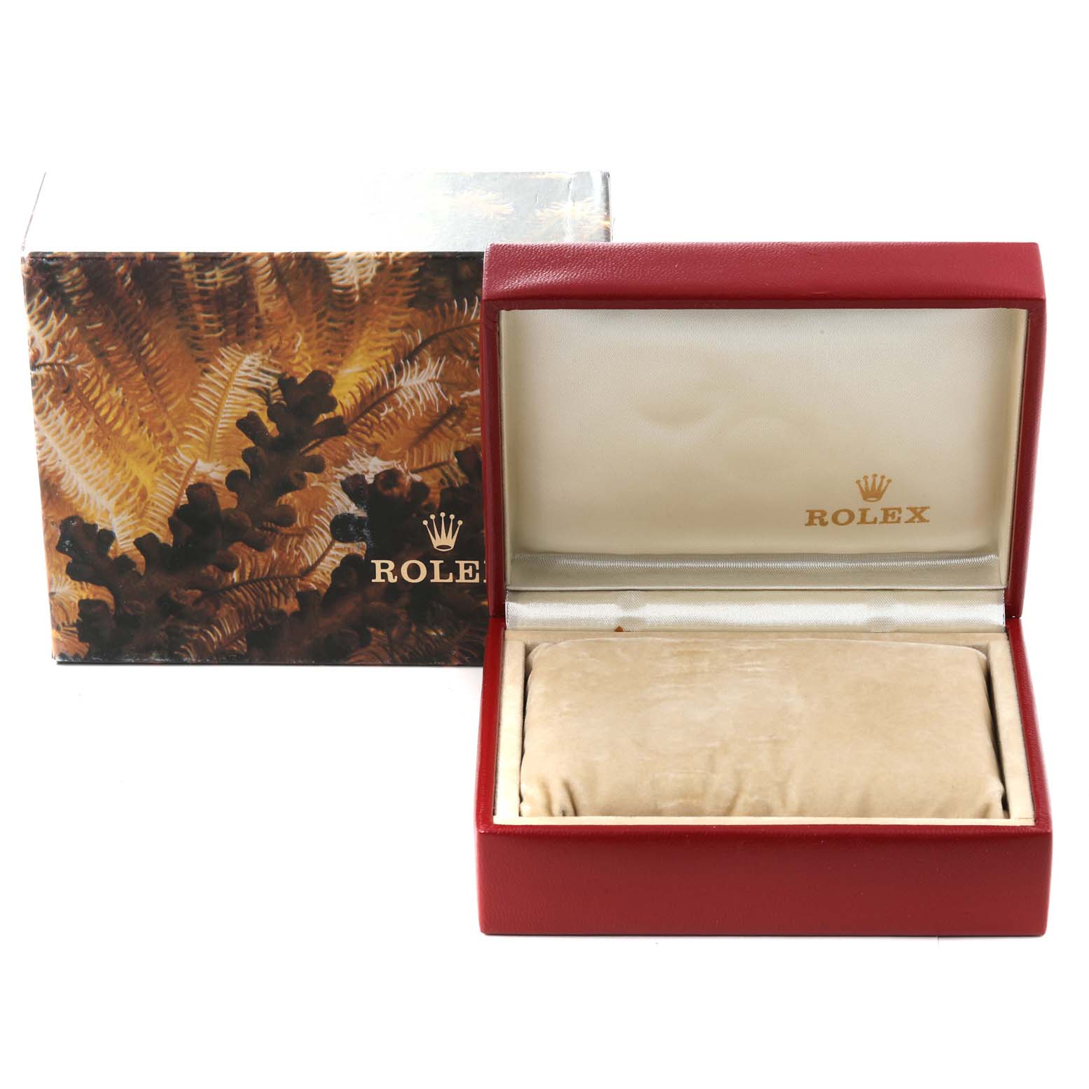 The image shows a Rolex Datejust 69173 Women's Steel and Gold (two tone) Champagne Dial 69173 Women's Steel and Gold (two tone) Champagne Dial watch box with a pillow inside for holding the watch, alongside the exterior packaging.