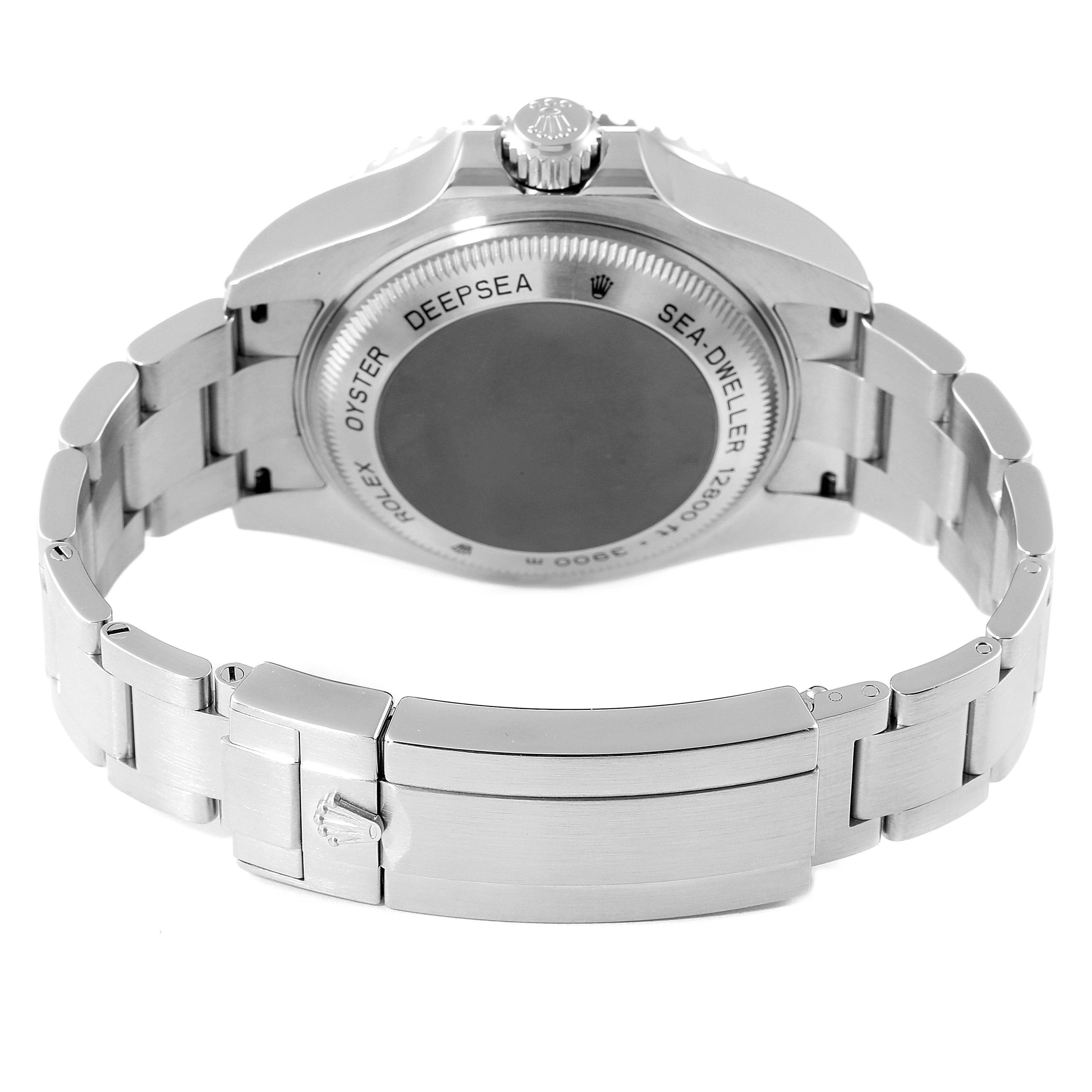 The image shows the back view of a Rolex Sea-Dweller 116660 Men
s Stainless Steel Blue Dial 116660 Men
s Stainless Steel Blue Dial watch, including the case back, bracelet, and clasp.