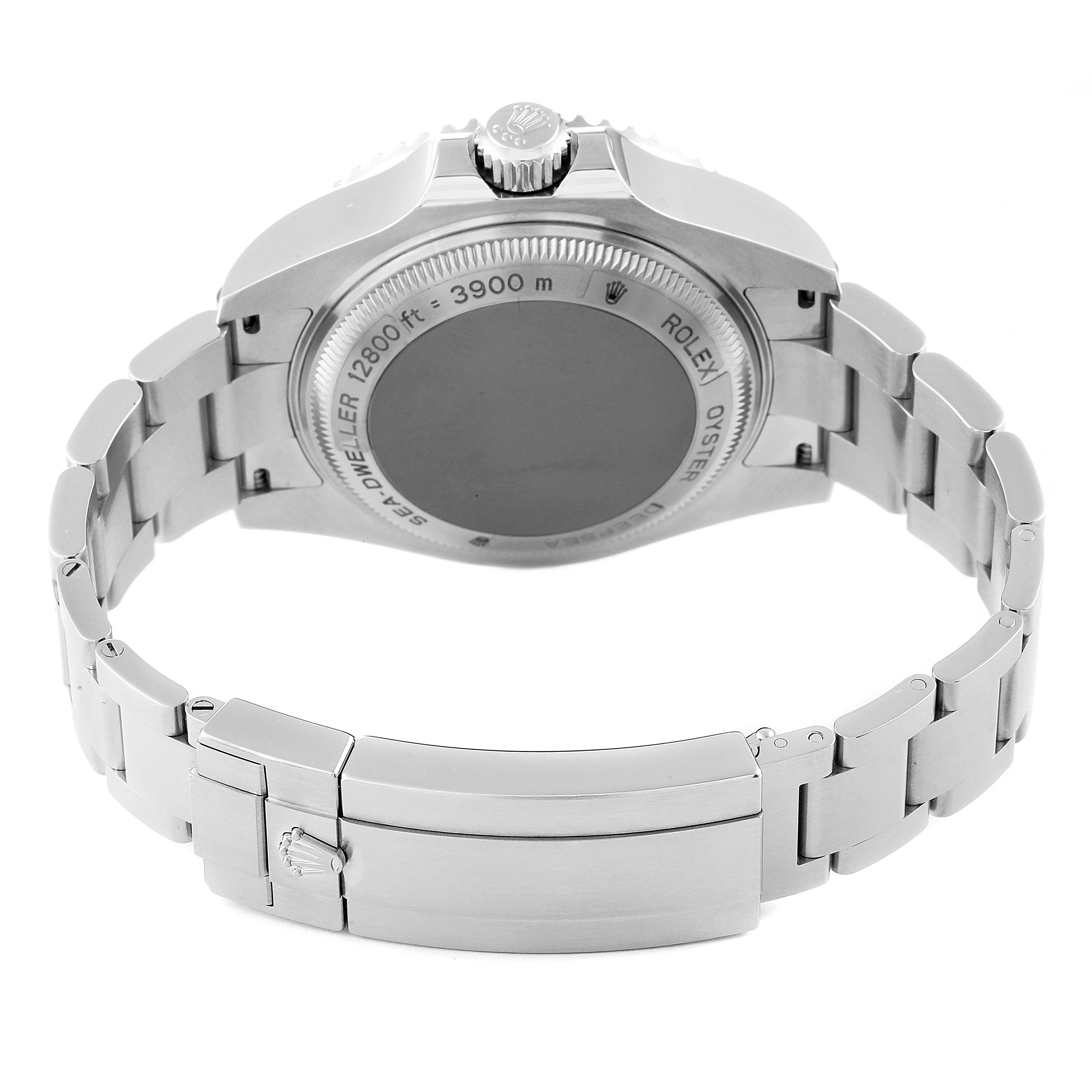 This image shows the back case and bracelet of a Rolex Sea-Dweller 116660 Men's Stainless Steel Blue Dial 116660 Men's Stainless Steel Blue Dial watch from a rear angle.