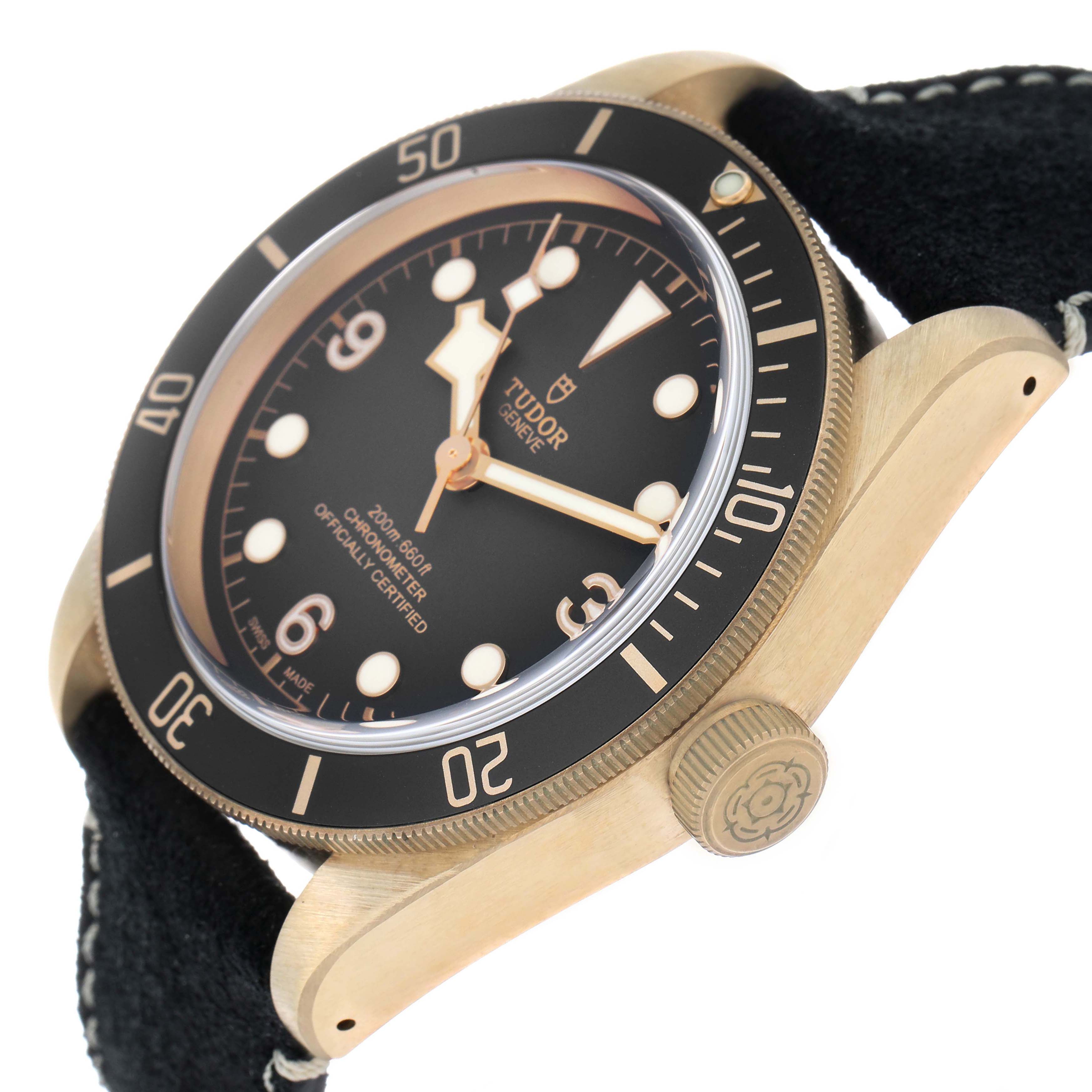 The Tudor Heritage Black Bay 79250 Men's Bronze Black Dial watch is shown from a side angle, highlighting the bezel, dial, case, and crown.