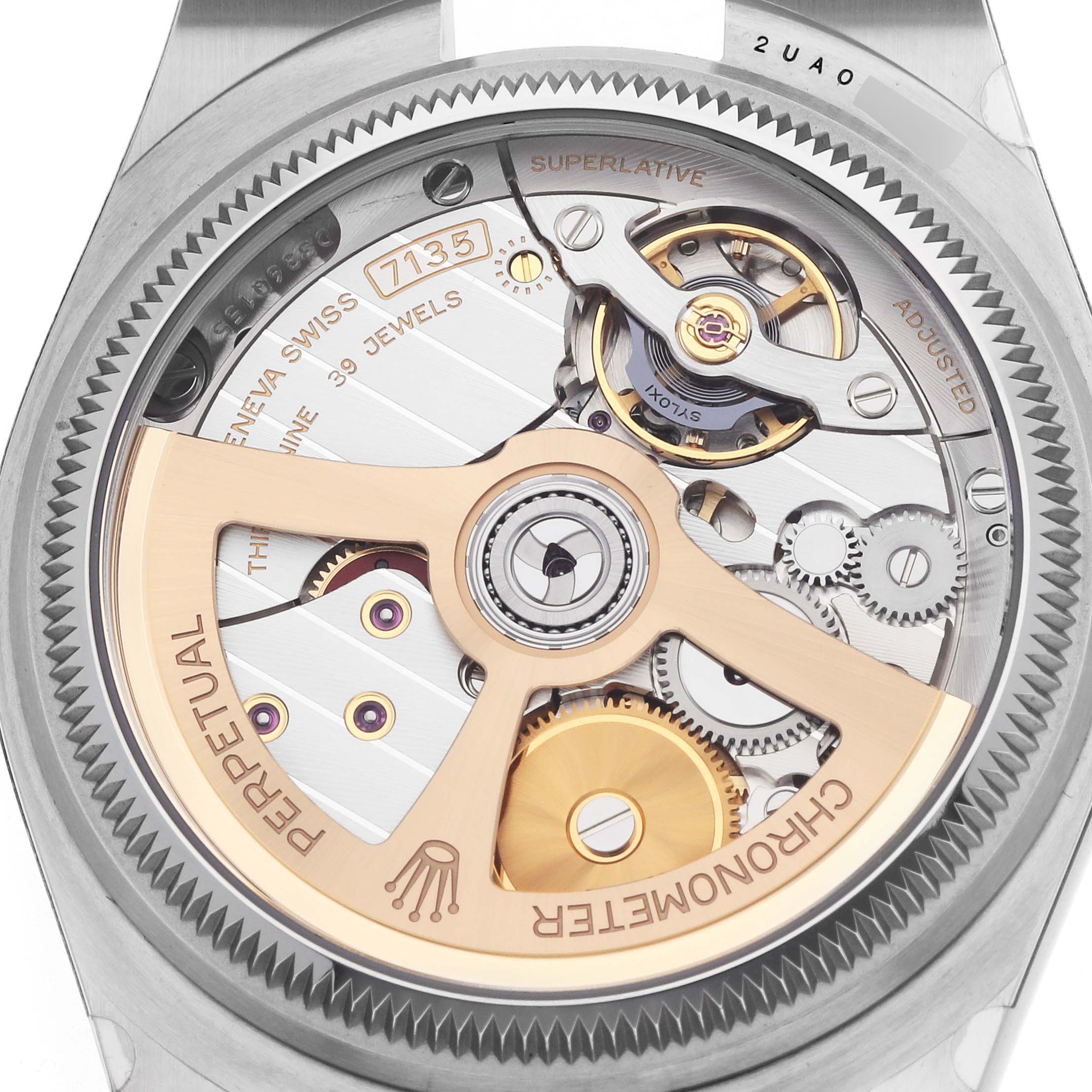 The image shows a close-up of the back view of a Rolex Land-Dweller, displaying its intricate mechanical movement.