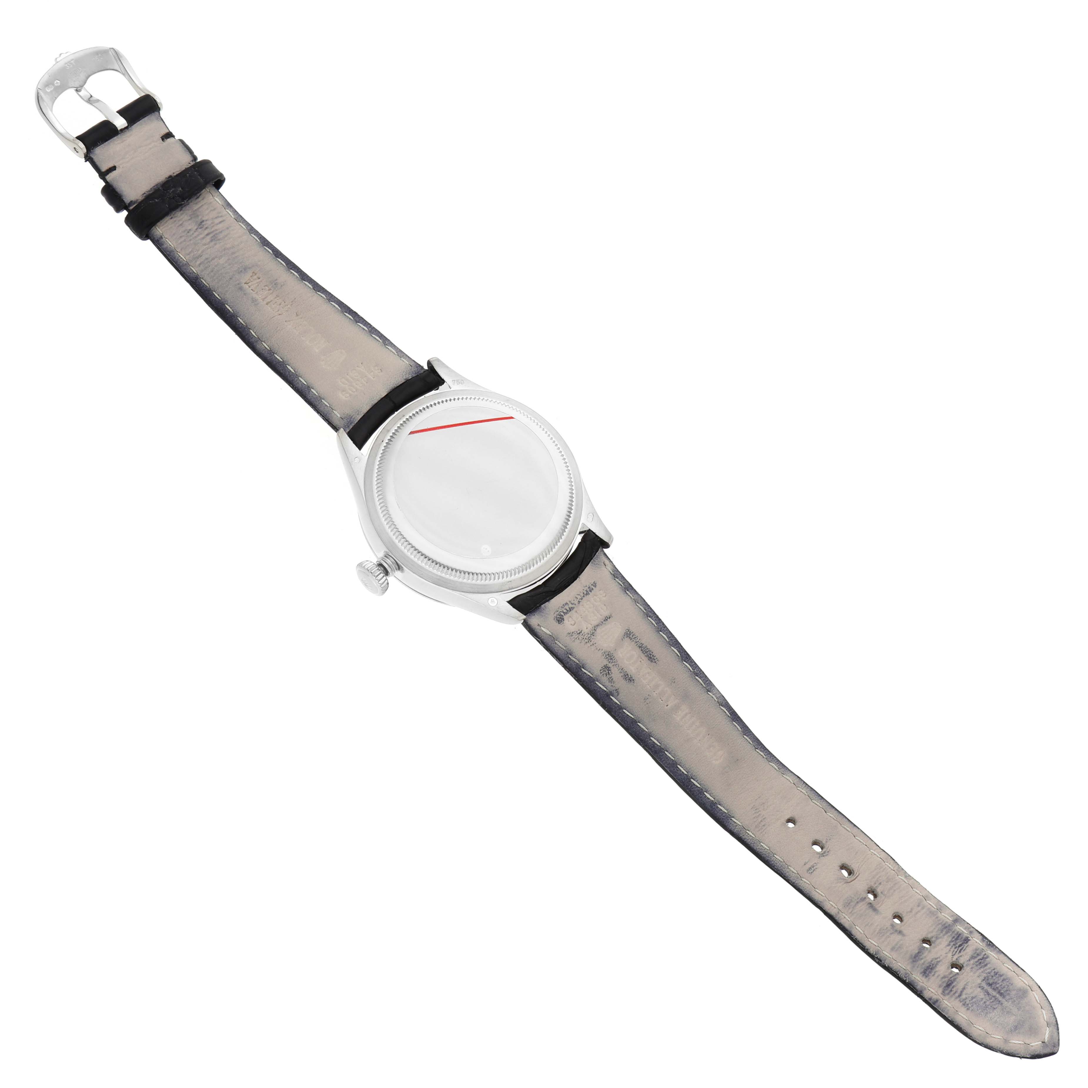 The Rolex Cellini 50509 Men's White Gold White Dial watch is shown from the back at an angle, highlighting its strap, clasp, and case back.