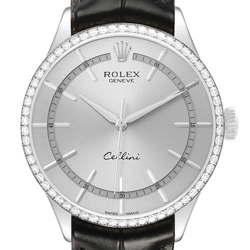 The Rolex Cellini 50709 Men's White Gold Silver Dial watch is shown from a front angle, displaying the dial, bezel, crown, and part of the leather strap.