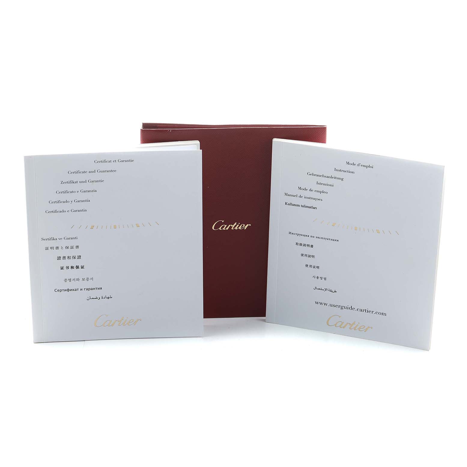 The image shows the Cartier Santos W20073X8 Men's Stainless Steel Silver Dial model packaging, including a red box and instruction booklets.