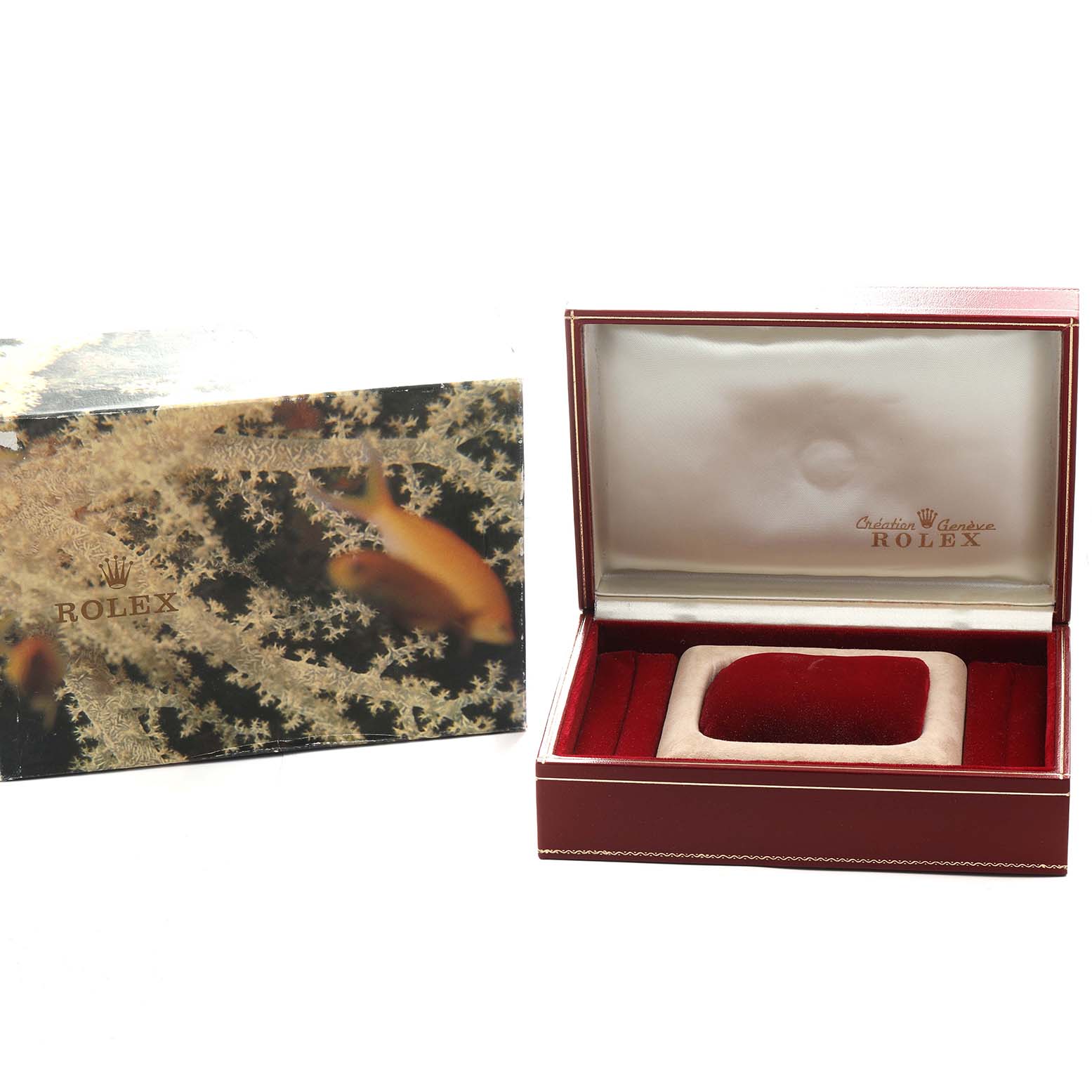 The image shows a Rolex President 69258 Women's Yellow Gold Champagne Dial model watch box, open to display the interior with a cushion, and a closed outer box.