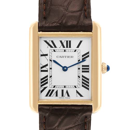 Photo of Cartier Tank Solo Yellow Gold Steel Brown Strap Mens Watch W1018855