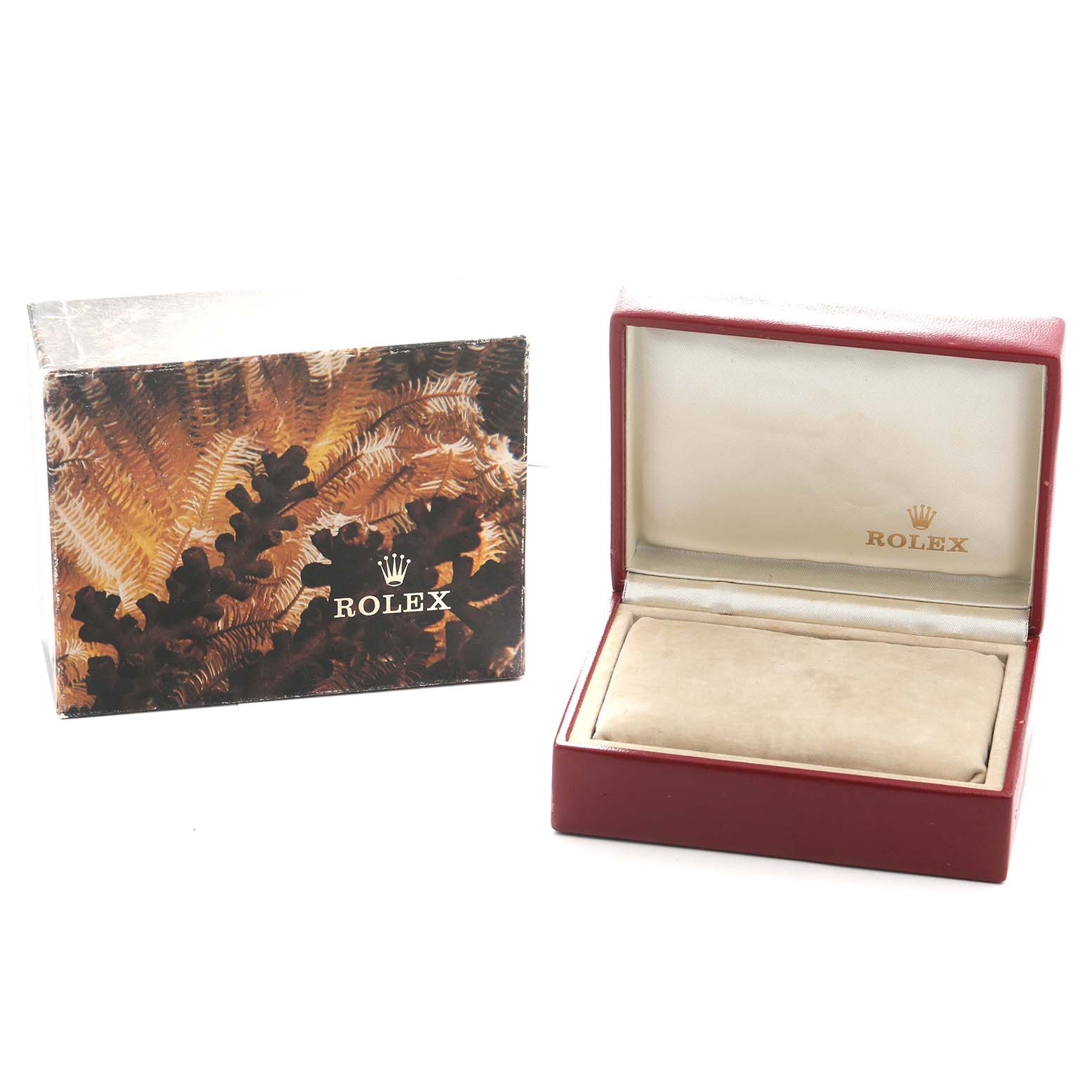 The image shows a Rolex President 69138 Women's Yellow Gold Champagne Dial model watch box at an angle, with both the outer and inner boxes visible.