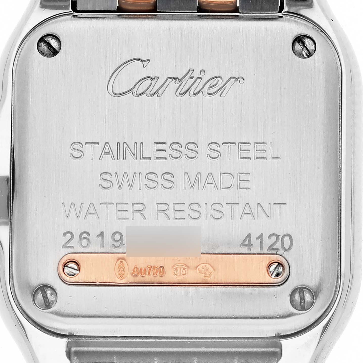 The image shows the back case of the Panthere model by Cartier, highlighting screws and engravings.
