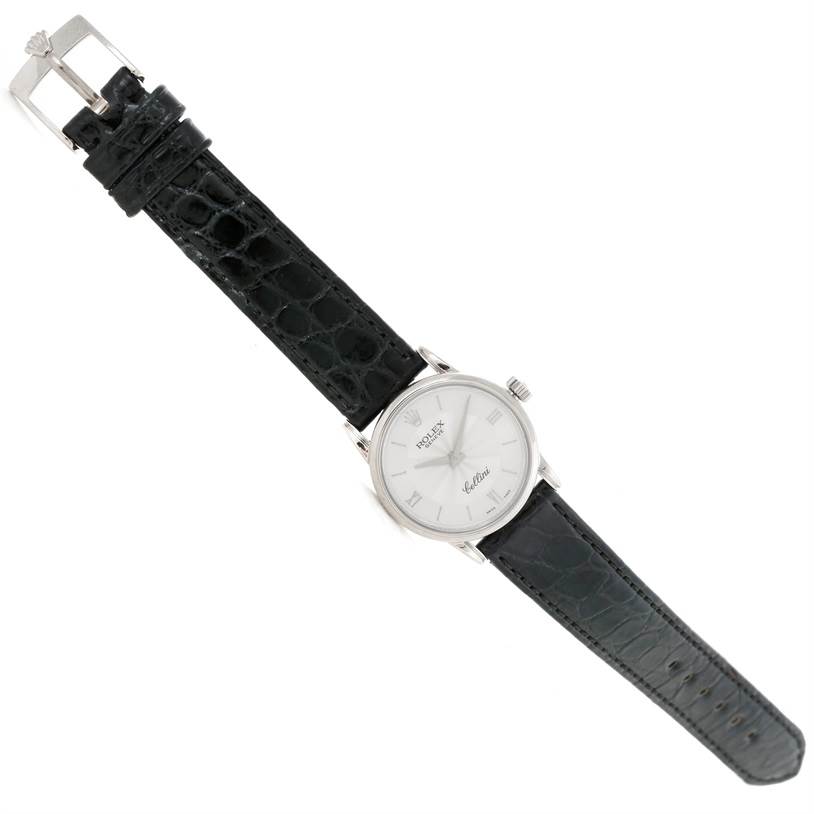 The Rolex Cellini 6111 Women's White Gold Silver Dial 6111 Women's White Gold Silver Dial watch is shown from a top-down perspective showcasing the face, bezel, crown, and leather strap.