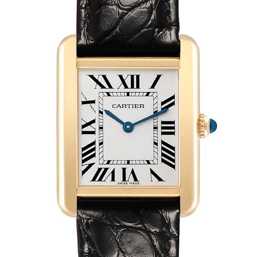 Photo of Cartier Tank Solo Small Steel Yellow Gold Ladies Watch W1018755 Papers