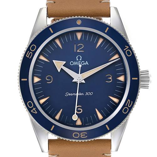 Photo of Omega Seamaster 300M Co-Axial Steel Mens Watch 234.32.41.21.03.001 Box Card