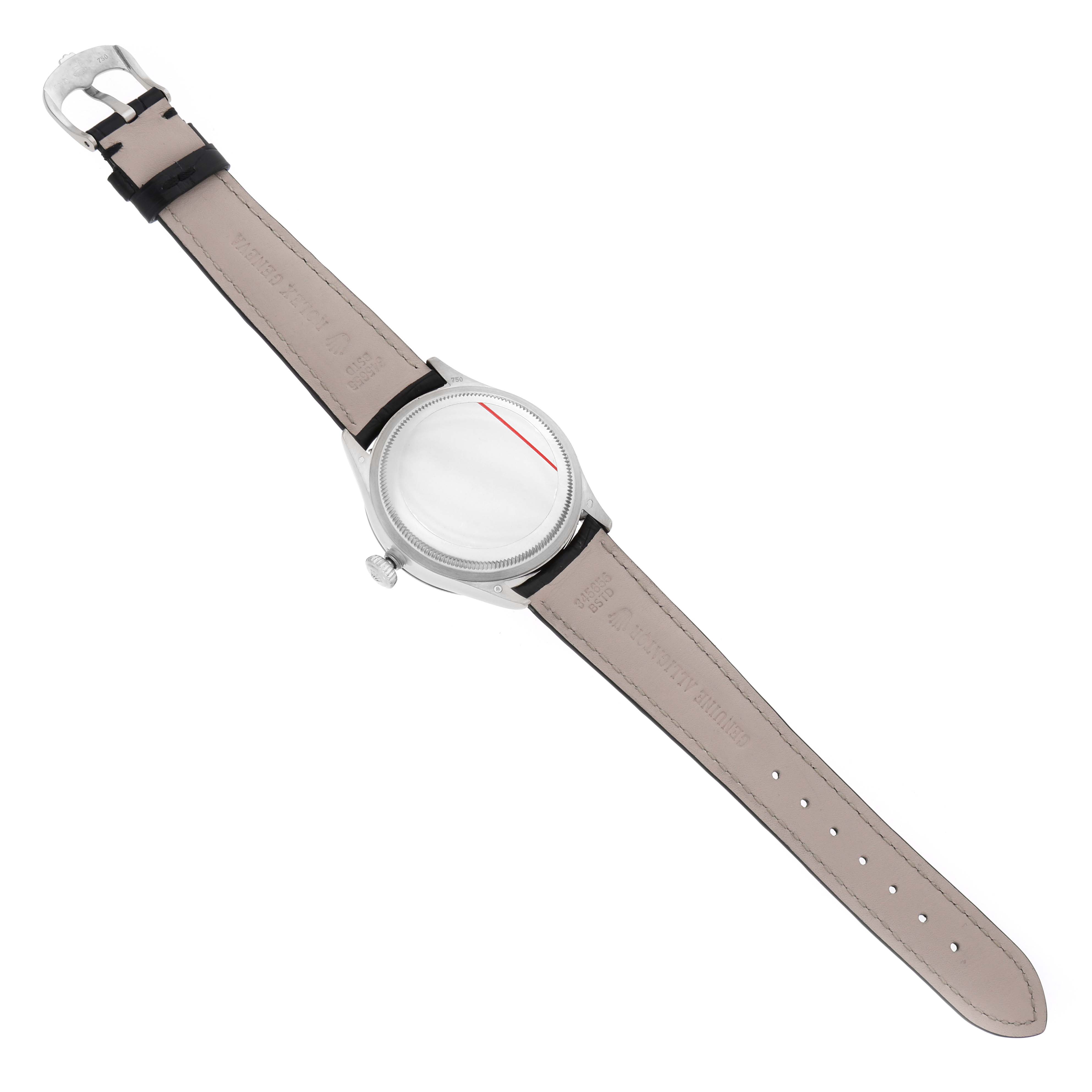 The Rolex Cellini 50509 Men's White Gold Black Dial watch is shown from the back, displaying the strap, buckle, and case back.