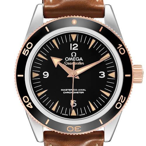 Photo of Omega Seamaster 300 Master Co-Axial Mens Watch 233.22.41.21.01.002 Box Card
