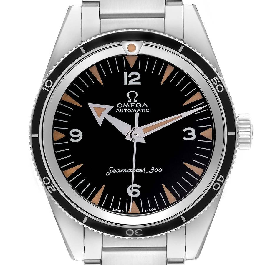 The Omega Seamaster watch is shown from a front angle, highlighting the black dial, bezel, and part of the bracelet.