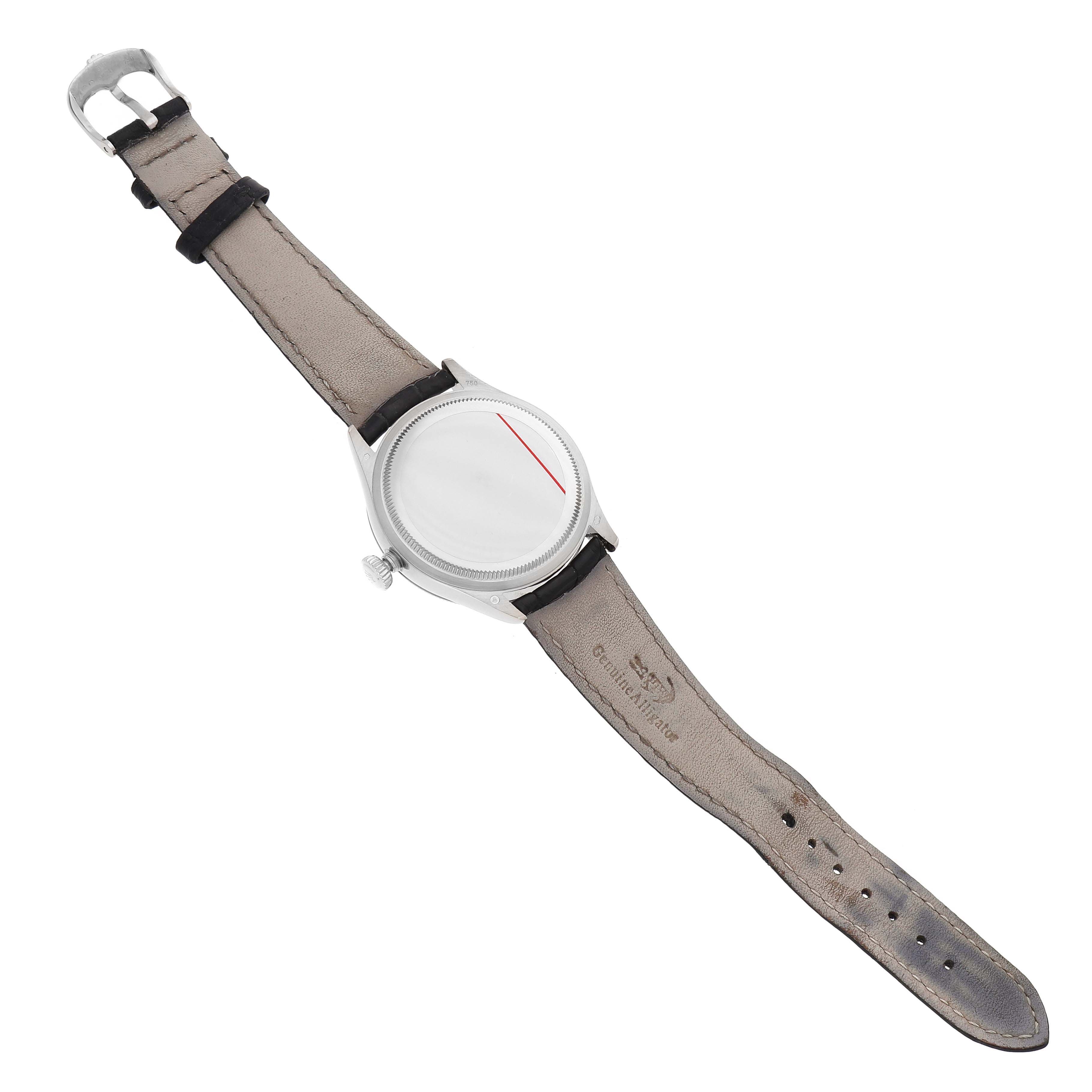 The Rolex Cellini 50609 Men's White Gold Silver Dial watch is shown from the back, highlighting the strap and buckle.