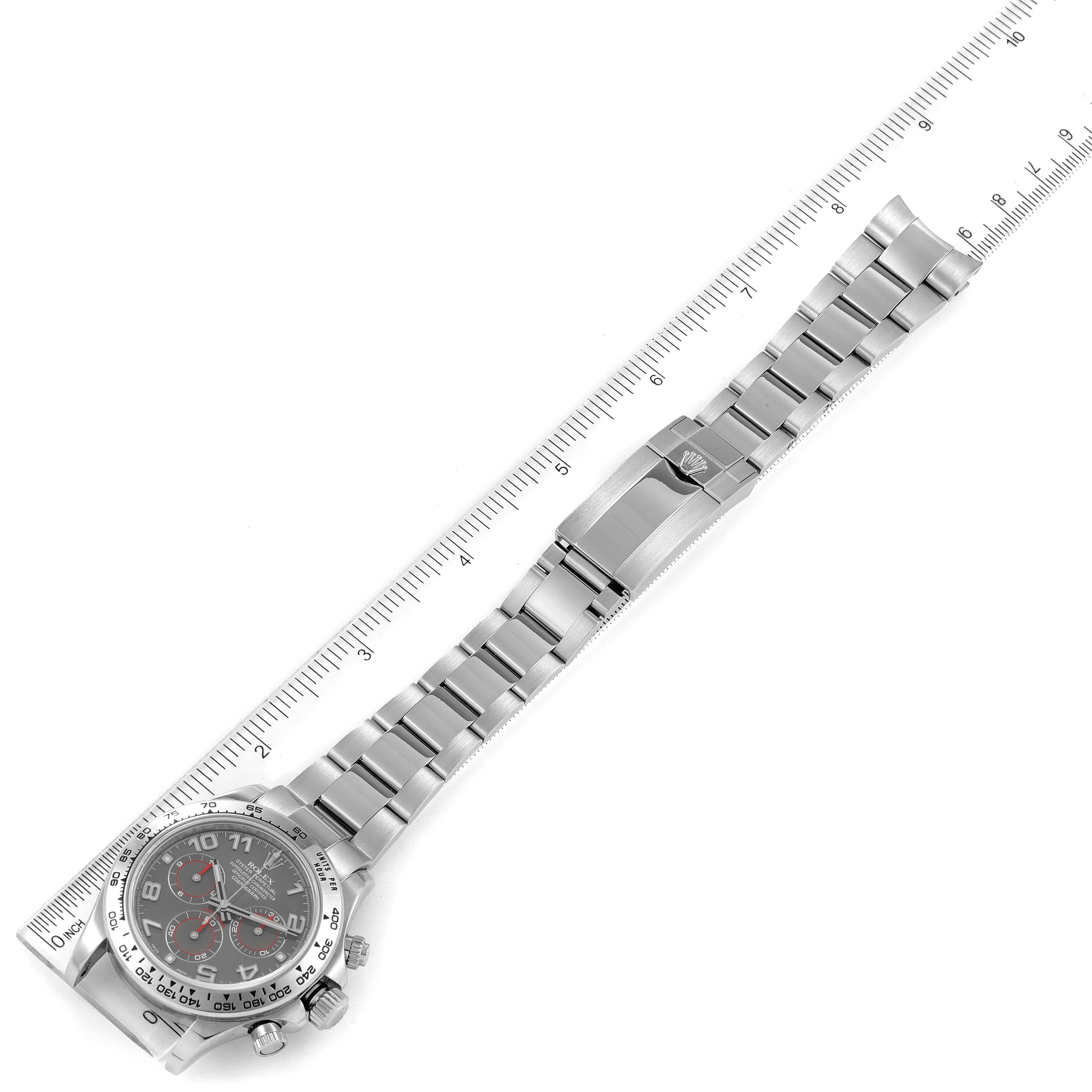 The image shows a top-down view of a Rolex Daytona 116509 Men's White Gold Grey Dial 116509 Men's White Gold Grey Dial watch with its band next to a ruler for scale.