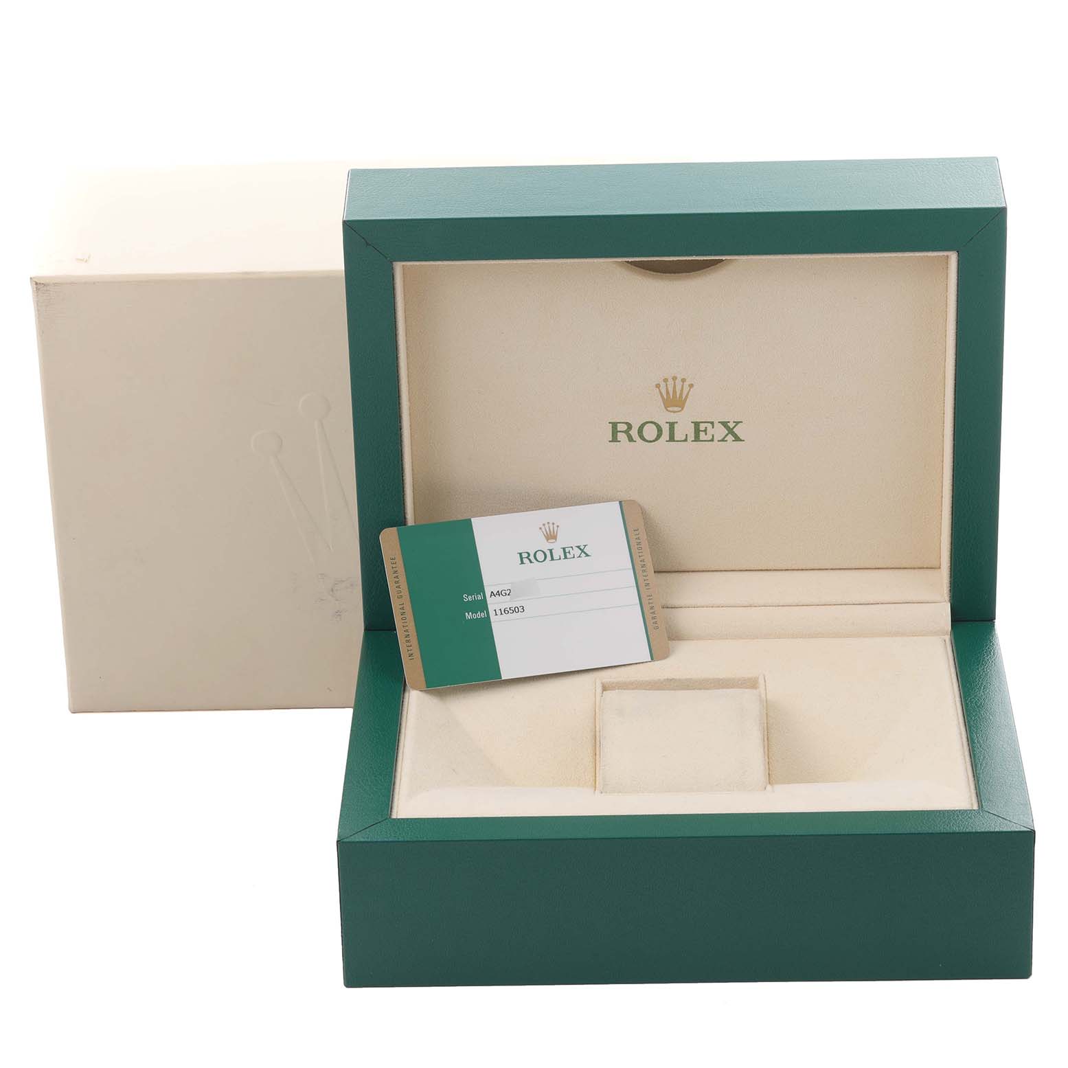 The image shows an empty Rolex Daytona 116503 Men's Steel and Gold (two tone) Mother of Pearl Dial 116503 Men's Steel and Gold (two tone) Mother of Pearl Dial watch box with a warranty card, angled from the front.