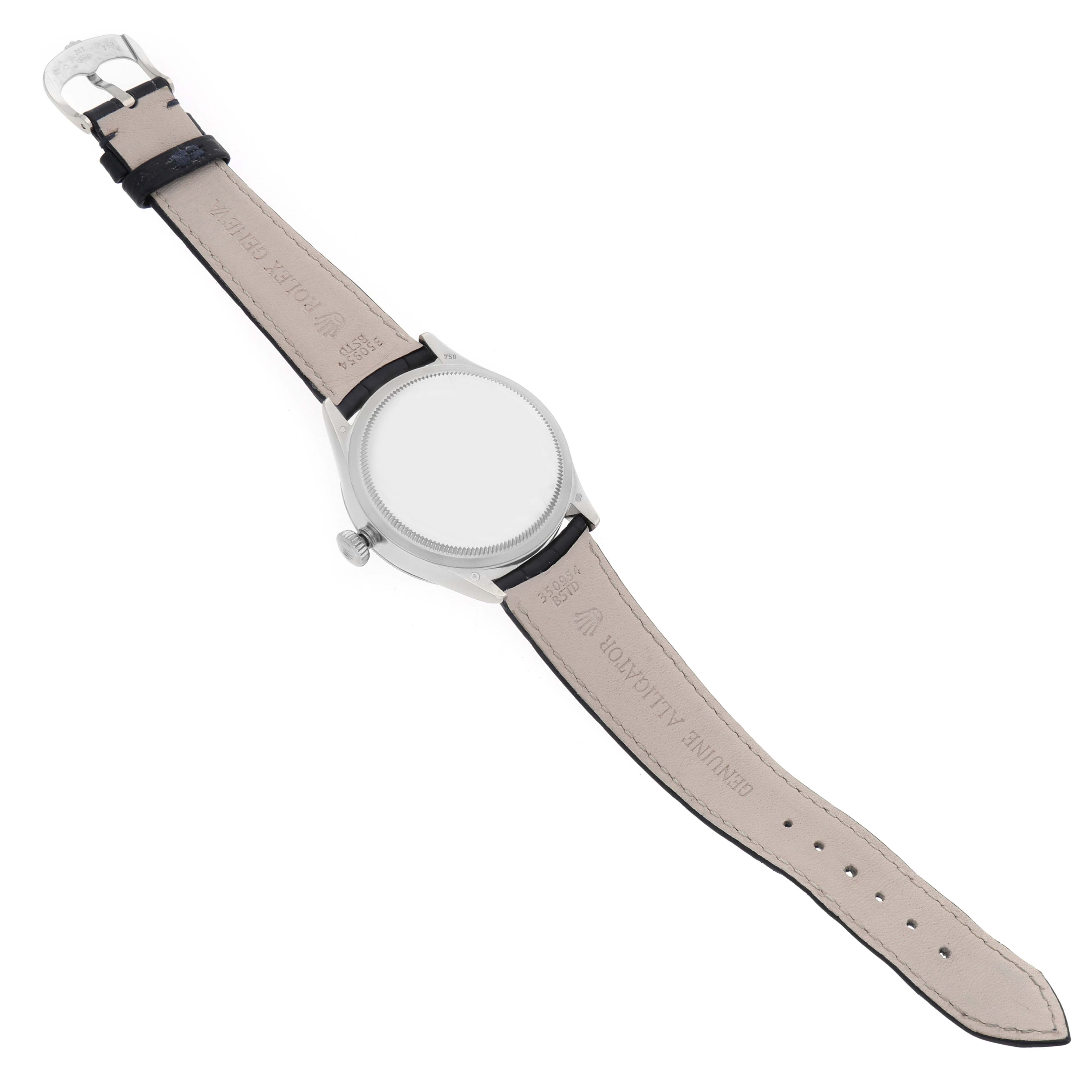 The Rolex Cellini 50519 Men's White Gold Blue Dial watch is shown from the back, displaying its straps, buckle, and case back.