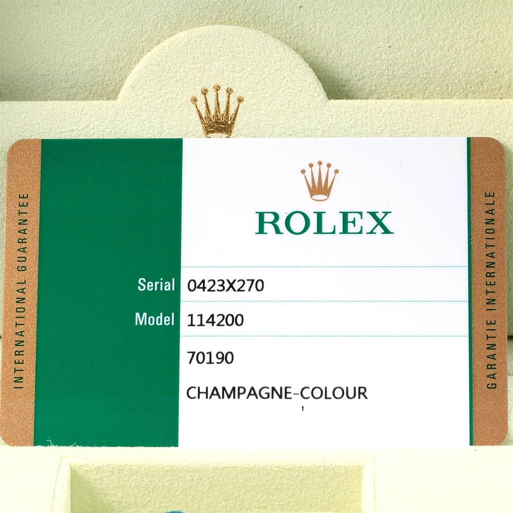 This image shows an international guarantee card for the Rolex Oyster Perpetual 114200 Men's Stainless Steel Champagne Dial 114200 Men's Stainless Steel Champagne Dial model 114200.