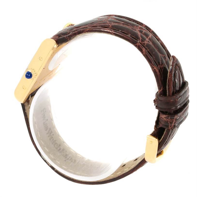 The Tank Louis by Cartier is shown from a side angle, displaying its rectangular case and brown leather strap.