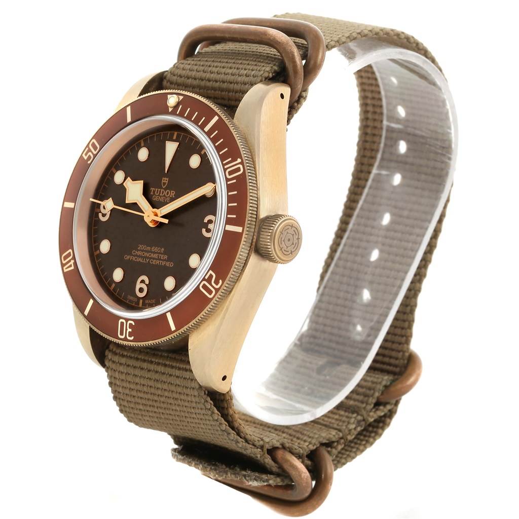 The image shows a Tudor Heritage Black Bay 79250 Men's Bronze Brown Dial 79250 Men's Bronze Brown Dial watch from an angled side view, highlighting the dial, bezel, and NATO strap.