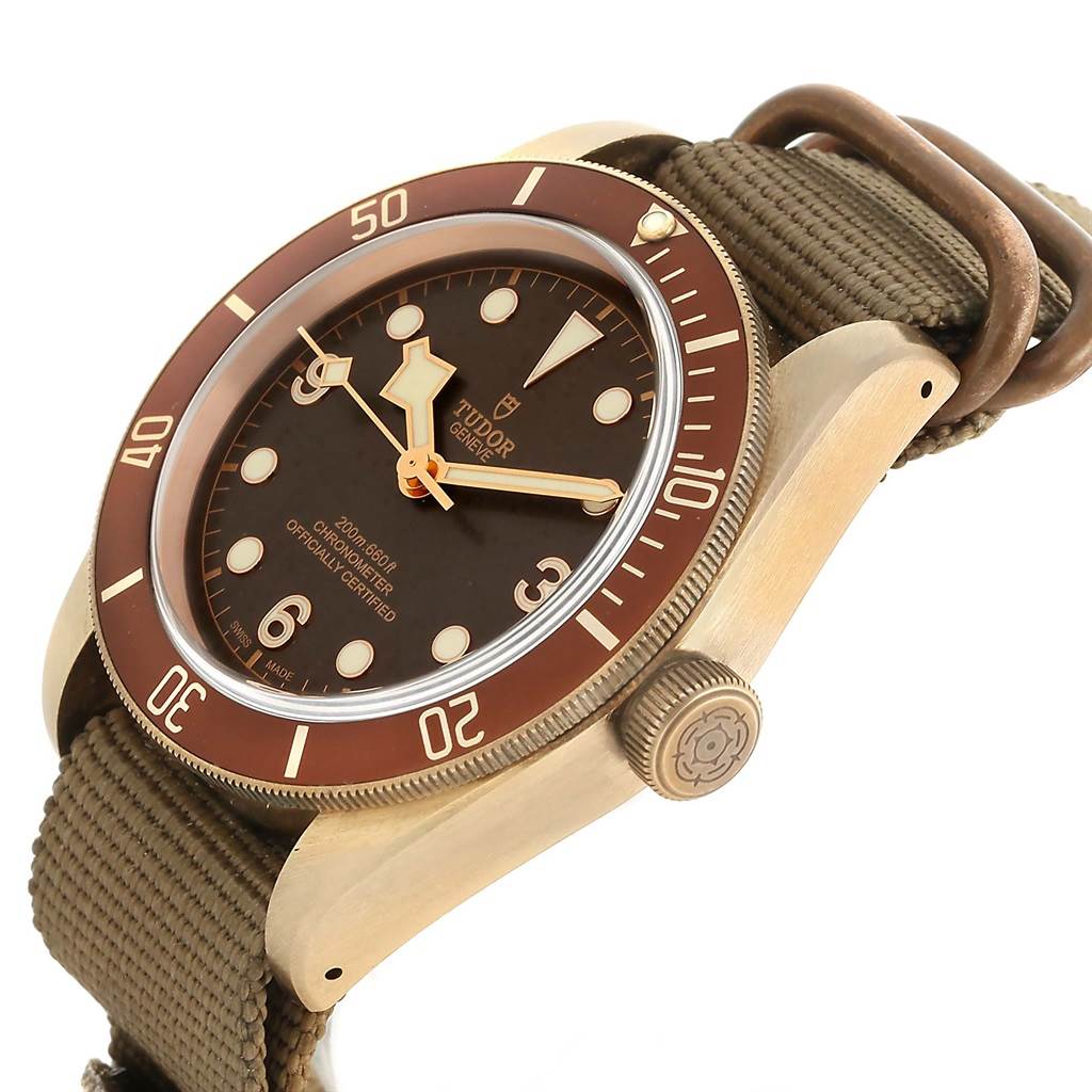 This Tudor Heritage Black Bay 79250 Men's Bronze Brown Dial 79250 Men's Bronze Brown Dial watch is shown from a side angle, displaying the dial, bezel, crown, and strap.