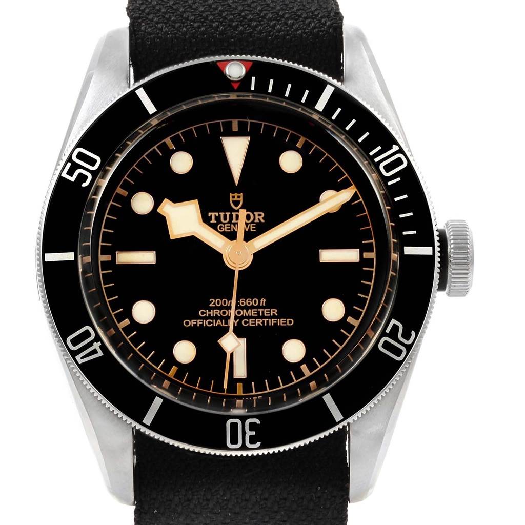 This is a front view of the Tudor Heritage Black Bay 79230 Men's Stainless Steel Black Dial 79230 Men's Stainless Steel Black Dial watch, showing its dial, bezel, and screw-down crown with a black strap.