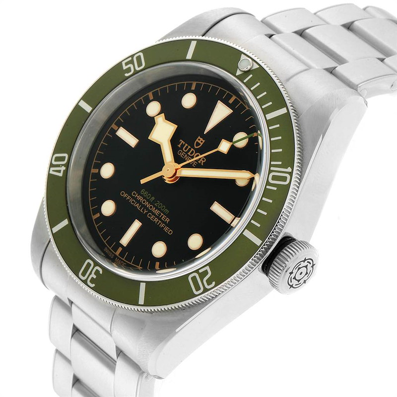 tudor black bay 79230g