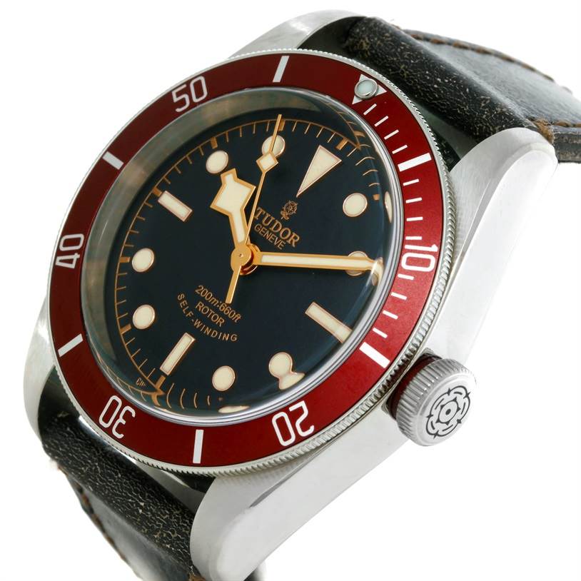The Tudor Heritage Black Bay 79220R Men's Stainless Steel Black Dial 79220R Men's Stainless Steel Black Dial watch is shown at an oblique angle, displaying the face, bezel, crown, and strap.