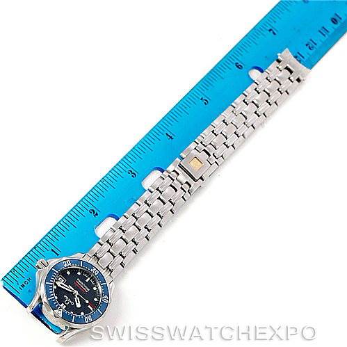 Omega Seamaster Professional 300M 
