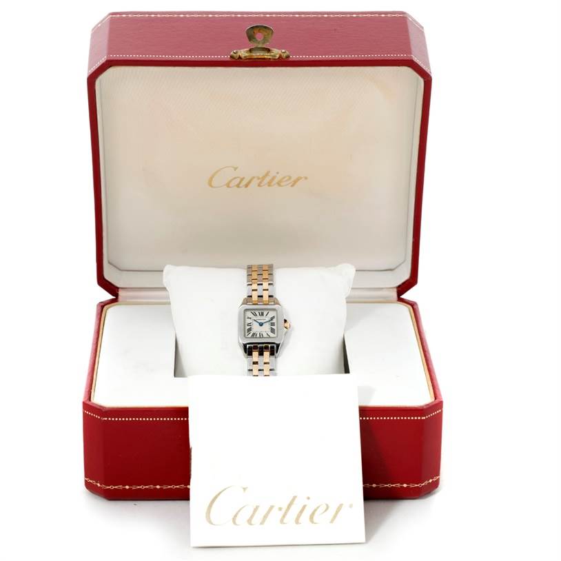 The Santos Demoiselle Cartier watch is displayed front-facing in its open red and white box, alongside Cartier documentation.