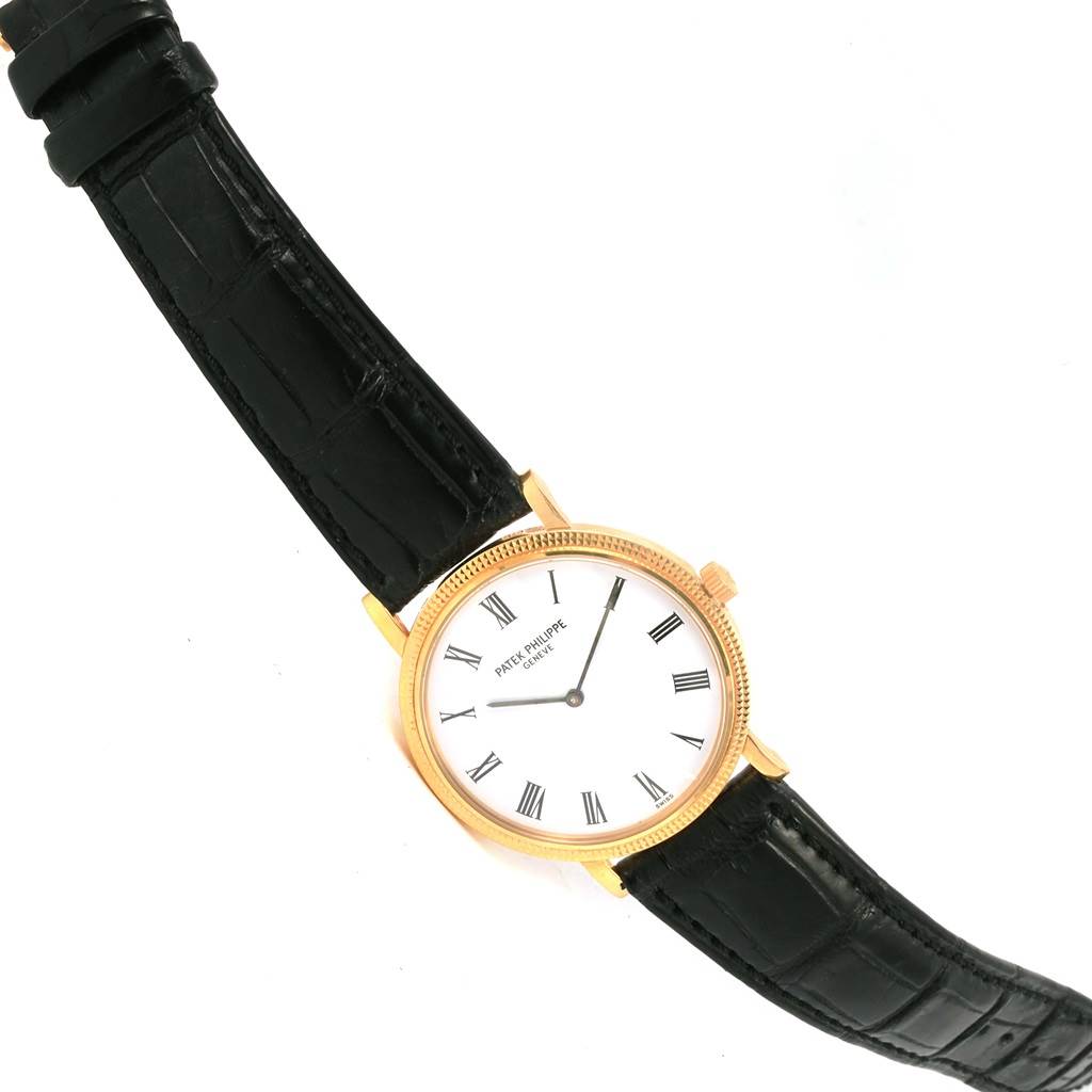 The image shows the front view of a Patek Philippe Calatrava 5120J Men's Yellow Gold White Dial 5120J Men's Yellow Gold White Dial watch with a white dial, Roman numerals, and a black leather strap.