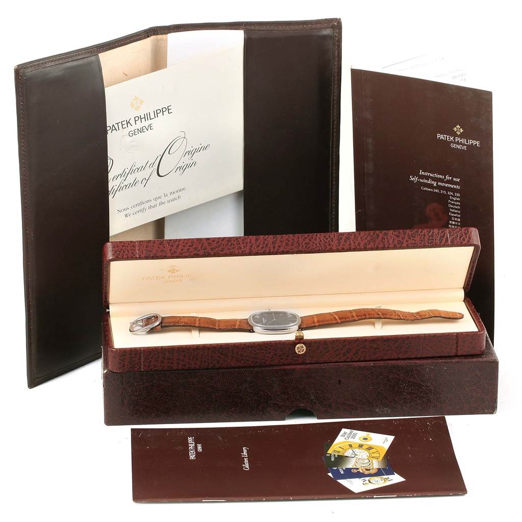 Patek Philippe Golden Ellipse White Gold Grey Dial Watch 3738 Box ...