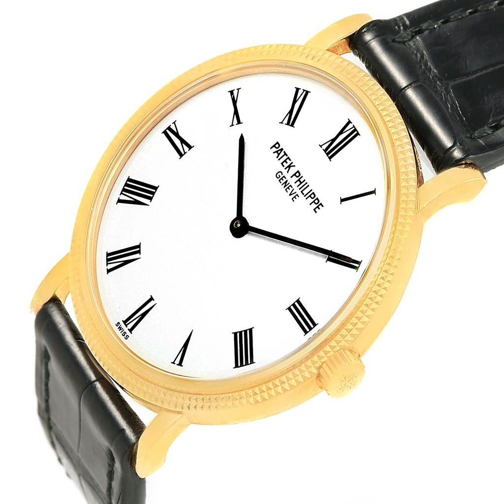 Calatrava essay 08 image