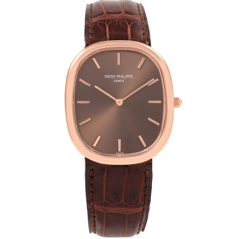 Brown Golden Patek Philippe Automatic Mechanical Watch