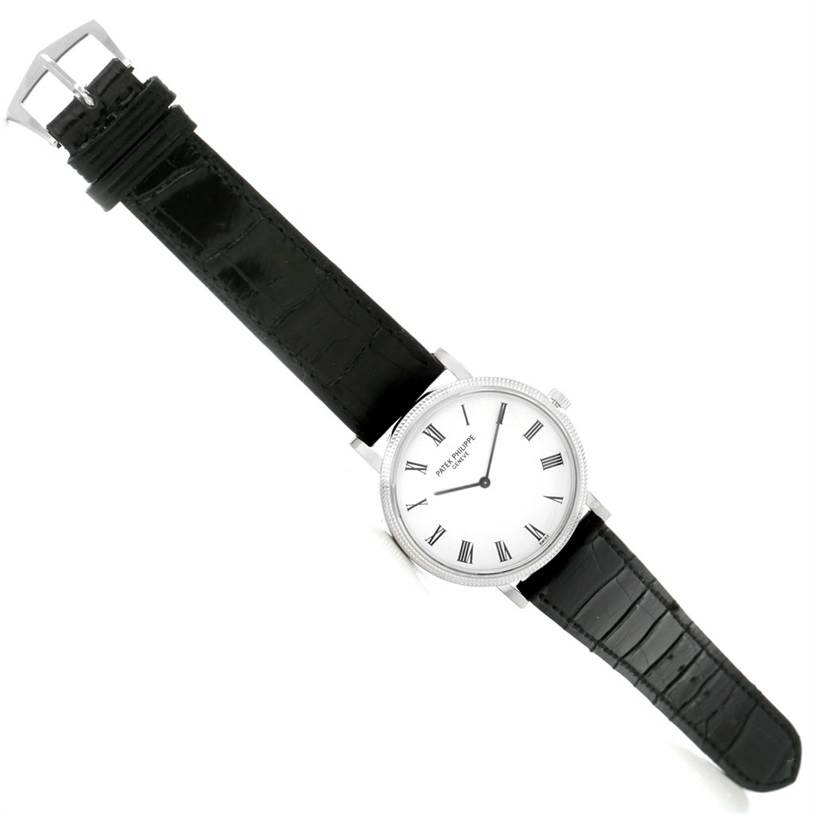 The image shows a Patek Philippe Calatrava 5120 Men's White Gold White Dial 5120 Men's White Gold White Dial watch from an overhead angle, highlighting the face, black leather strap, and buckle.
